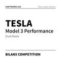 Bilanx Competition coilovers – Tesla Model 3 Performance Dual Motor